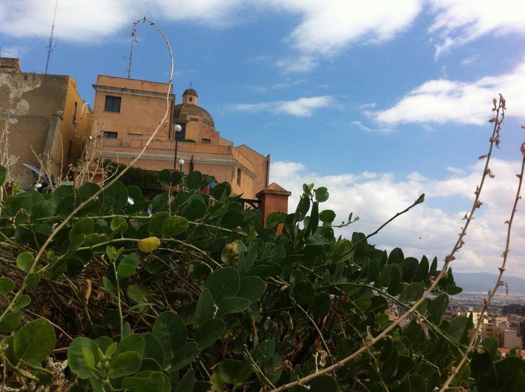 Little Cagliari Apartment Екстериор снимка
